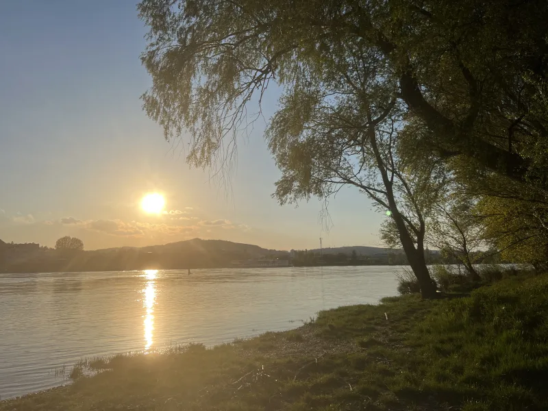 Sonnenuntergang auf einer Handbiketour