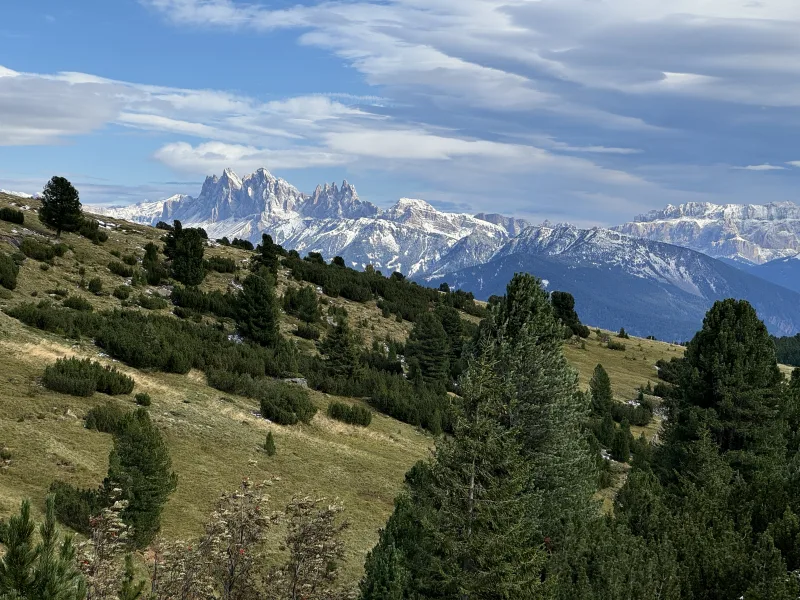 Langkofel von der Villanderer Alm gesehen