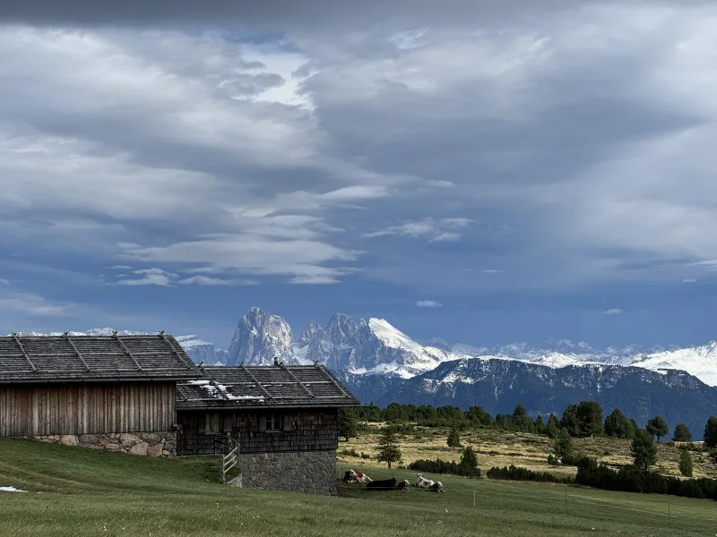 Villanderer Alm auf dem Weg zur Stöffelhütte mit Blick auf den Langkofel